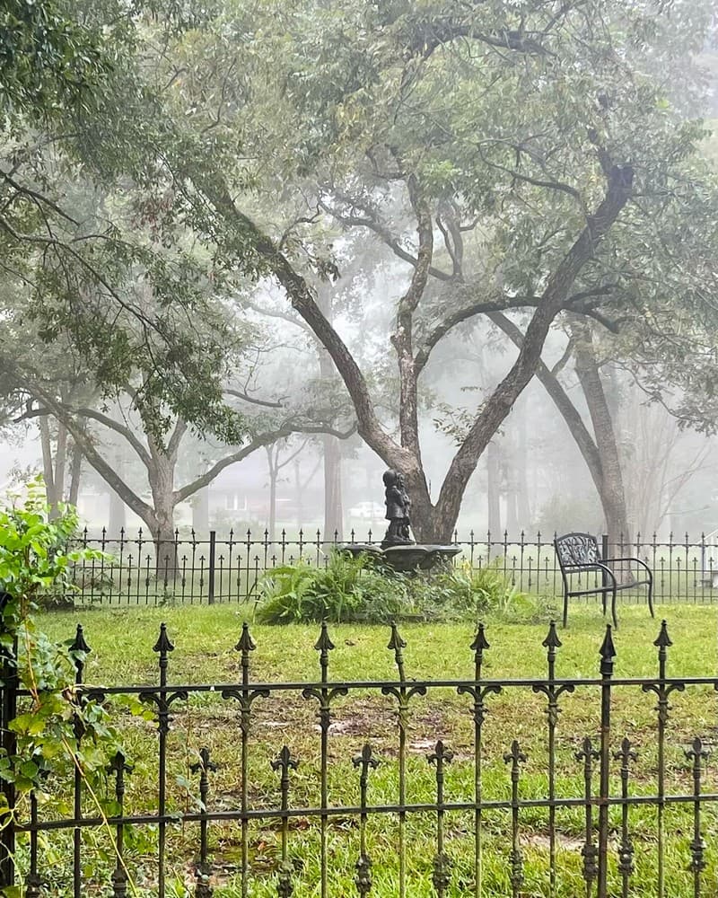 A misty scene of a fenced garden featuring a statue, a chair, and lush greenery.
