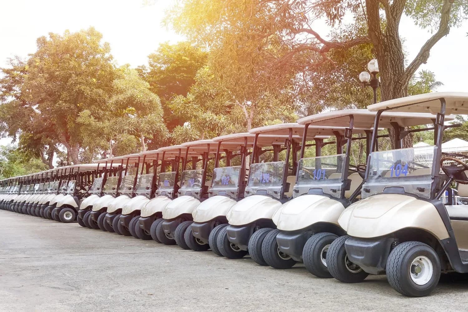 A row of golf carts parked under the sun amidst lush greenery.
